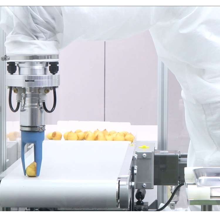 Lengan Robot CNC 6-Axis dengan - Linear Rail ulasan dan harga